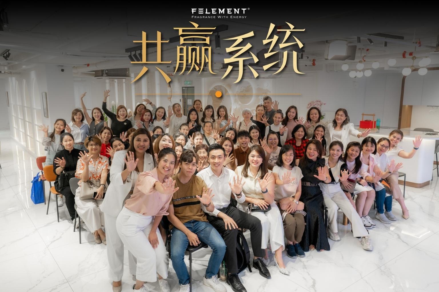 FELEMENT 共赢系统